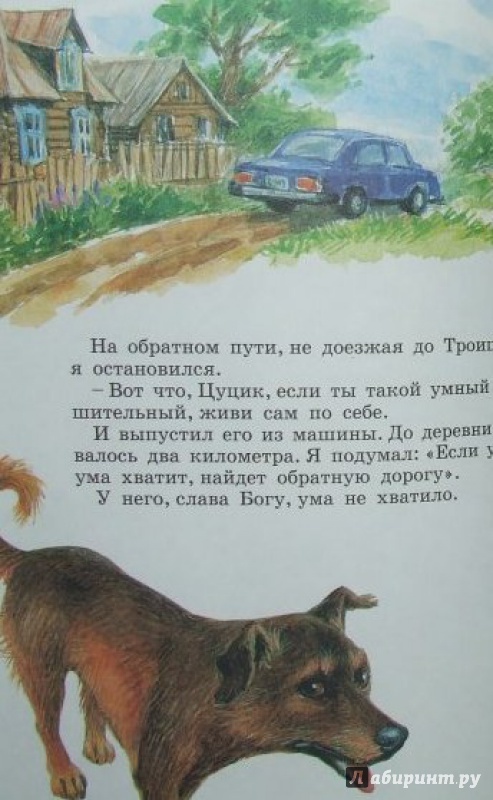 Иллюстрация 10 из 13 для Как любить собак - Эдуард Успенский | Лабиринт - книги. Источник: Половинка  Юля