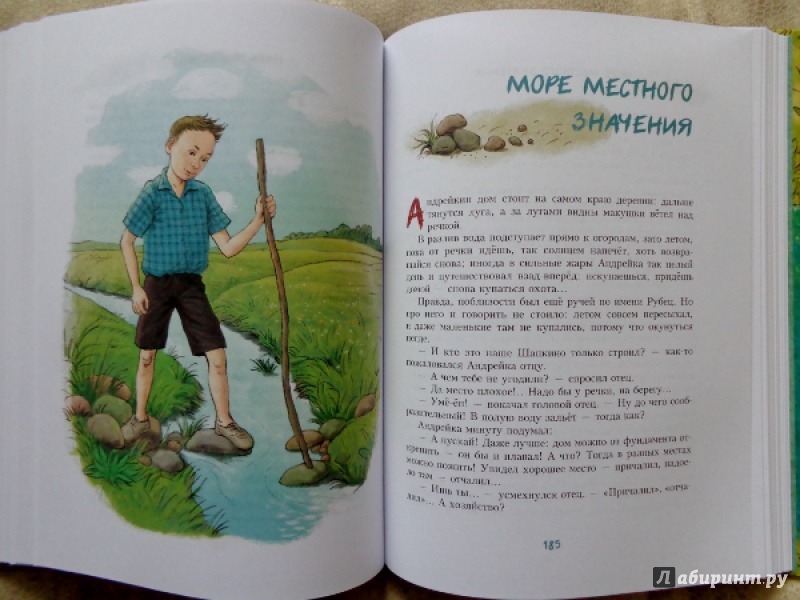 Иллюстрация 23 из 48 для Андрейка и лодырь Ромашка - Юрий Третьяков | Лабиринт - книги. Источник: Матти Суоми