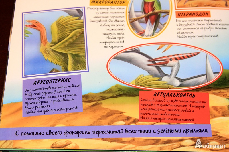 Иллюстрация 13 из 17 для Динозавры. Книга-игра | Лабиринт - книги. Источник: St  Алла