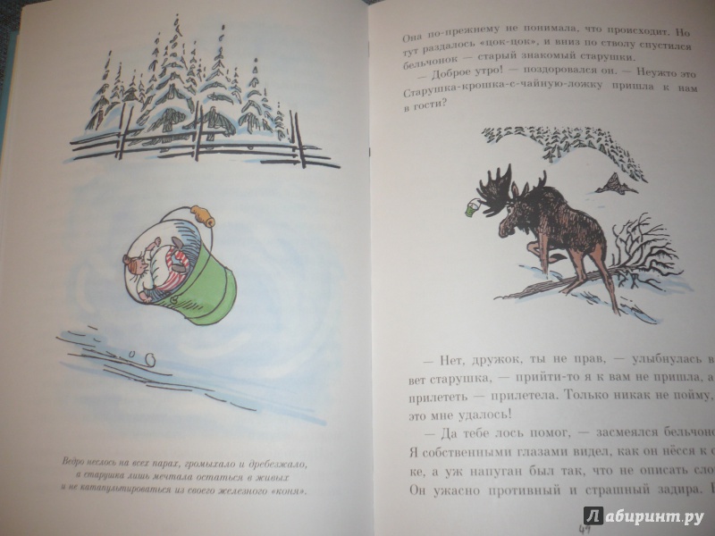 Иллюстрация 47 из 59 для Старушка-крошка-с-чайную-ложку - Альф Прёйсен | Лабиринт - книги. Источник: angela_kvitka
