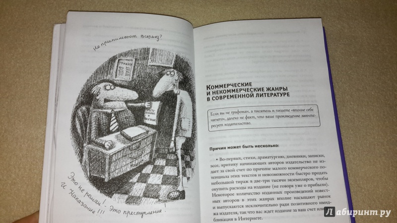Иллюстрация 24 из 33 для Как заработать, если умеешь писать - И. Горюнова | Лабиринт - книги. Источник: Маруся (@smelayatrysixa)