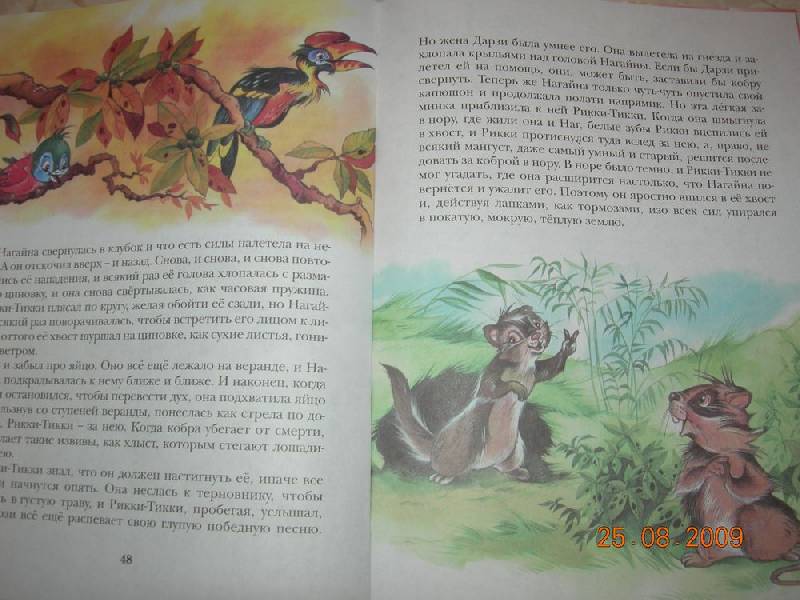 Иллюстрация 30 из 41 для Сказки - Редьярд Киплинг | Лабиринт - книги. Источник: Соловей