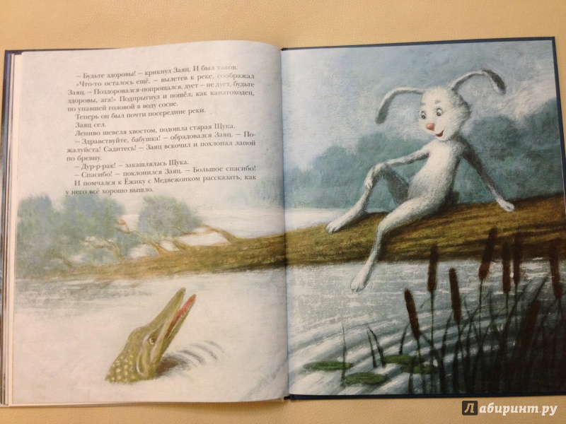 Иллюстрация 25 из 51 для Ёжик в тумане - Сергей Козлов | Лабиринт - книги. Источник: antonnnn