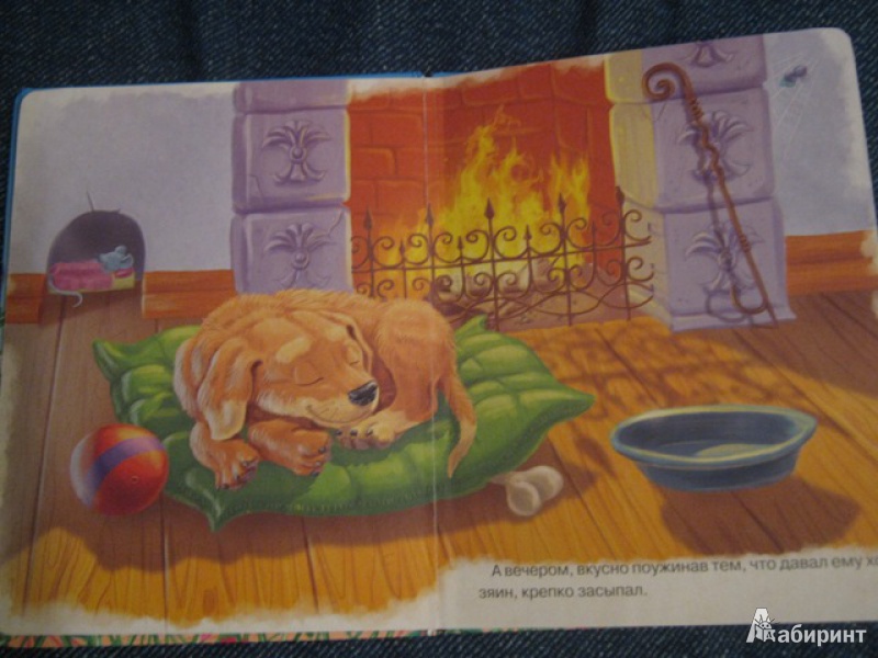 Иллюстрация 4 из 7 для Кот и Пес | Лабиринт - книги. Источник: Lavanda