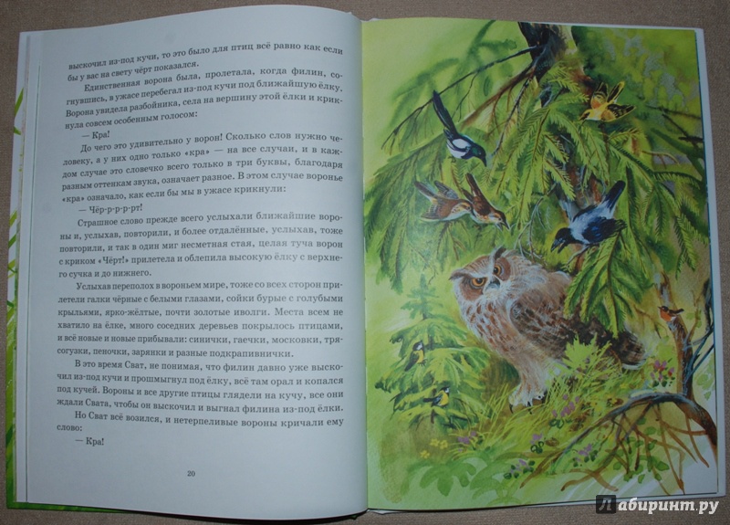 Иллюстрация 22 из 78 для Охота за бабочкой - Михаил Пришвин | Лабиринт - книги. Источник: Книжный кот