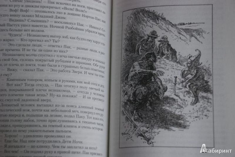 Иллюстрация 22 из 24 для Сказки Старой Англии - Редьярд Киплинг | Лабиринт - книги. Источник: bailadora