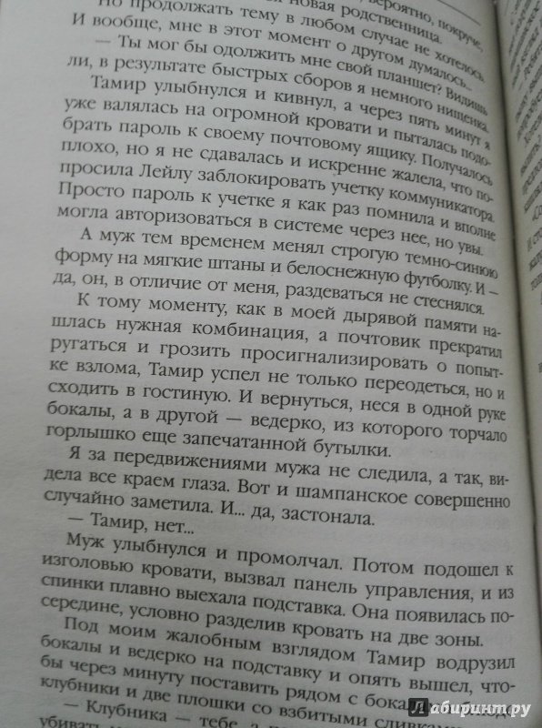 Иллюстрация 25 из 28 для Эсми Солнечный Ветер - Анна Гаврилова | Лабиринт - книги. Источник: Сафиулина  Юлия