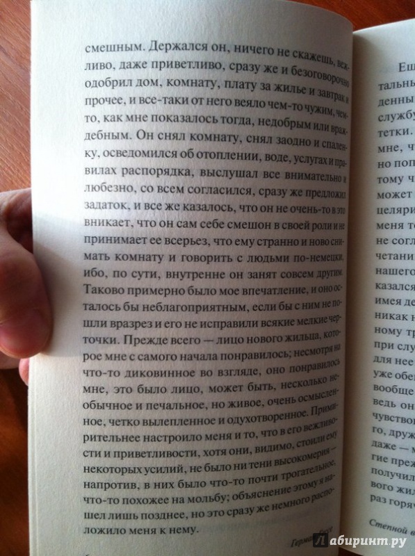 Иллюстрация 12 из 29 для Степной волк - Герман Гессе | Лабиринт - книги. Источник: Гумилева  Юлия