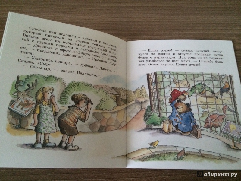 Иллюстрация 20 из 33 для Медвежонок Паддингтон в зоопарке - Майкл Бонд | Лабиринт - книги. Источник: Natali Juravleva