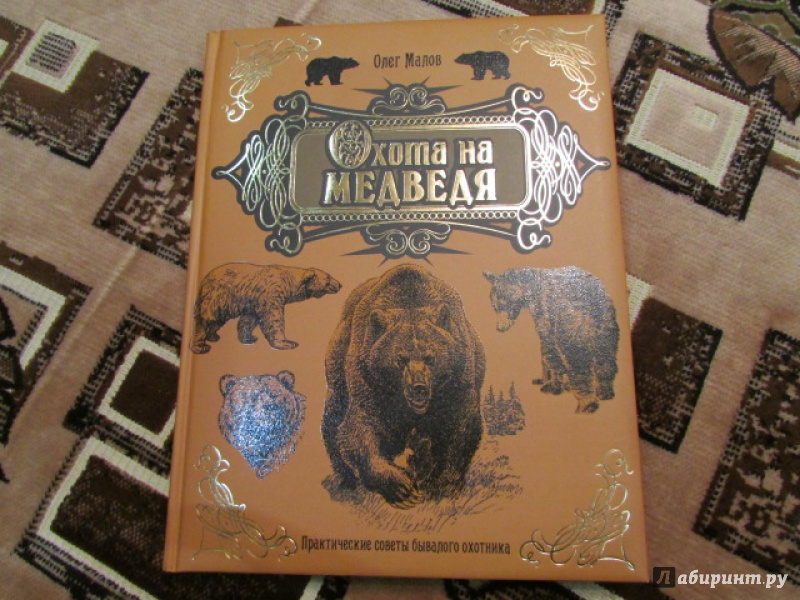 Иллюстрация 31 из 43 для Охота на медведя - Олег Малов | Лабиринт - книги. Источник: Елена Клинова
