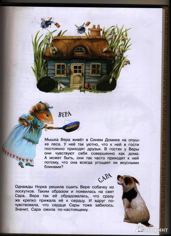 Иллюстрация 3 из 11 для Веселая кухня - Марьолейн Бастин | Лабиринт - книги. Источник: Морозова  Светлана Леонидовна