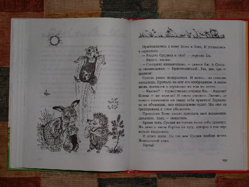 Иллюстрация 14 из 15 для Солнечный зайчик Хомы и Суслика - Альберт Иванов | Лабиринт - книги. Источник: ЮлияВ