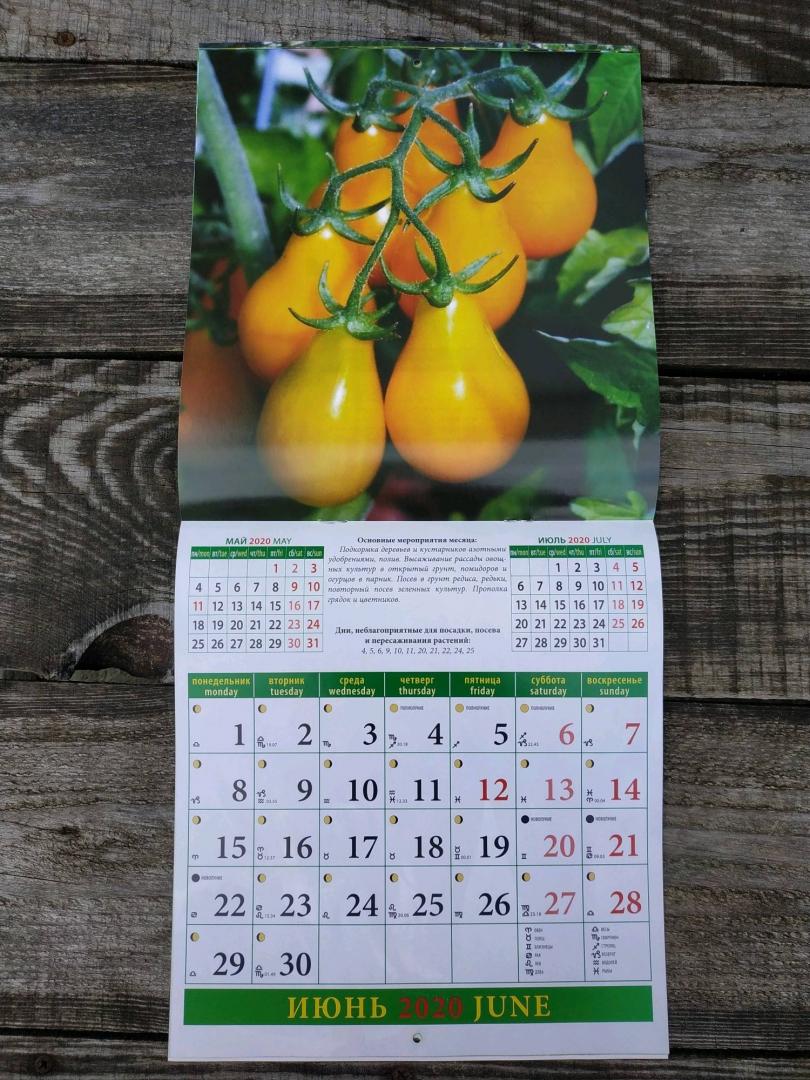 Лунный календарь огородника июль