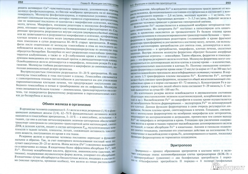 Иллюстрация 16 из 43 для Нормальная физиология. Учебник +CD - Брин, Ткаченко, Захаров, Мазинг | Лабиринт - книги. Источник: Еrin