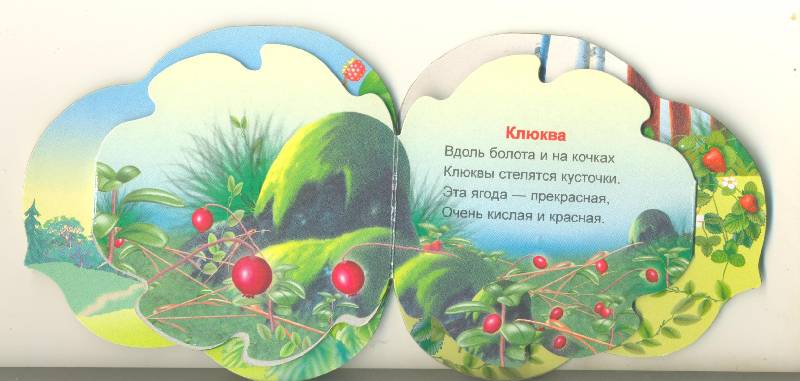 Иллюстрация 1 из 3 для Лесные ягоды - Ольга Крас | Лабиринт - книги. Источник: Спанч Боб