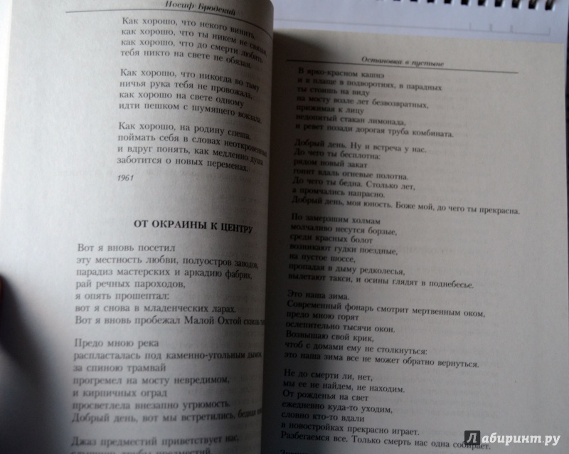 Иллюстрация 12 из 44 для Малое собрание сочинений - Иосиф Бродский | Лабиринт - книги. Источник: D8  _