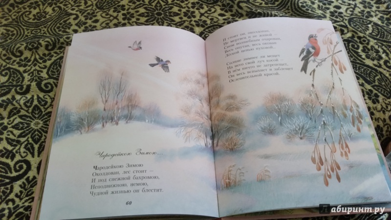 Иллюстрация 18 из 24 для Стихи детям - Федор Тютчев | Лабиринт - книги. Источник: velgelmina6
