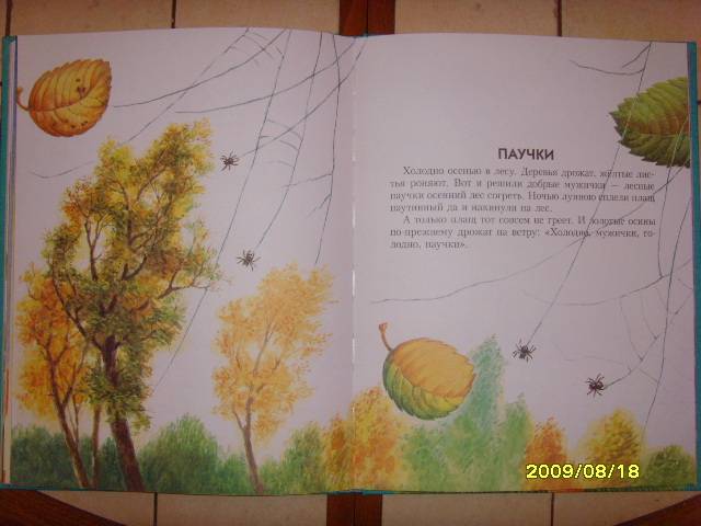 Иллюстрация 24 из 46 для Сказки о природе. Сказки-малютки - Геннадий Цыферов | Лабиринт - книги. Источник: Алевтина