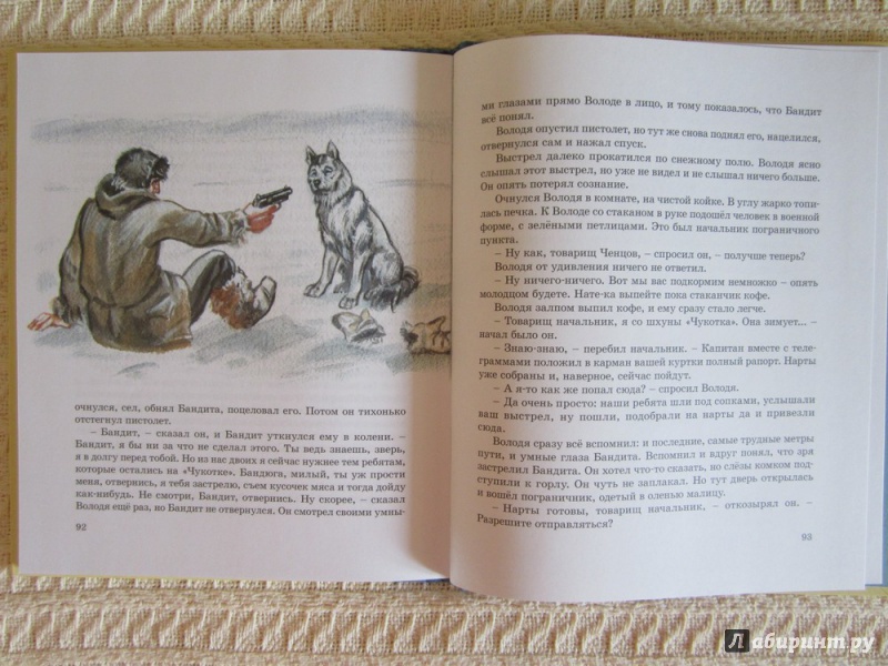 Иллюстрация 3 из 26 для Морские сапоги - Андрей Некрасов | Лабиринт - книги. Источник: ЮлияО