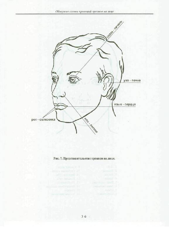 Иллюстрация 33 из 47 для Искусство диагностики по лицу. Атлас - Эмма Гоникман | Лабиринт - книги. Источник: Юта