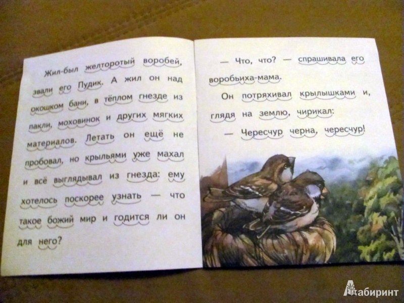 Иллюстрация 3 из 27 для Воробьишко - Максим Горький | Лабиринт - книги. Источник: Oho  Oho