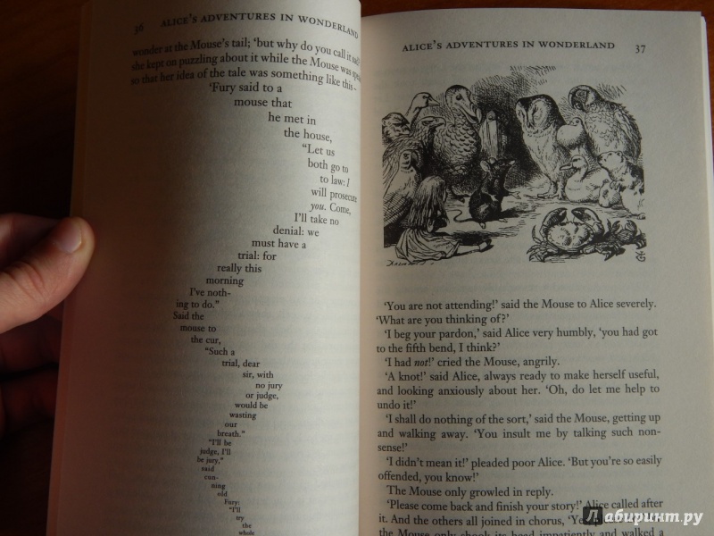 Иллюстрация 16 из 31 для Alice in Wonderland & Through the Looking-Glass - Lewis Carroll | Лабиринт - книги. Источник: komer45