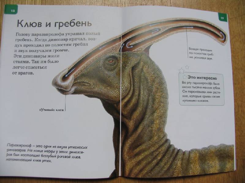 Иллюстрация 8 из 31 для Динозавры - Роберт Коуп | Лабиринт - книги. Источник: ВВС