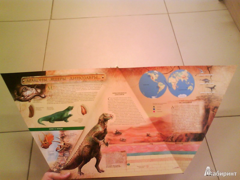 Иллюстрация 4 из 12 для Динозавры - Андрей Журавлев | Лабиринт - книги. Источник: Мила