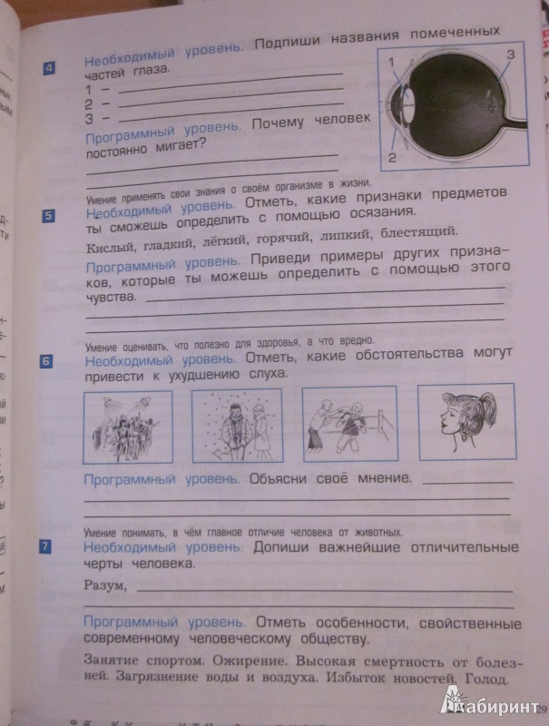 Мир контрольная работа