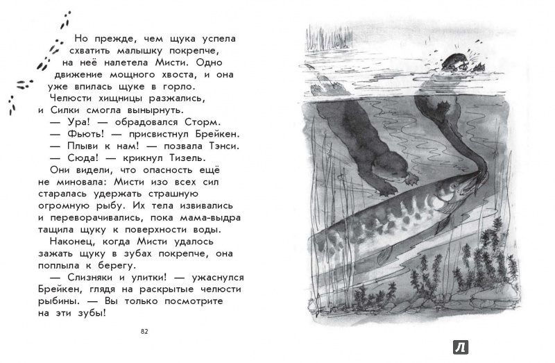 Иллюстрация 16 из 34 для Дикий зверь - Джорджи Адамс | Лабиринт - книги. Источник: Редактор этой книги