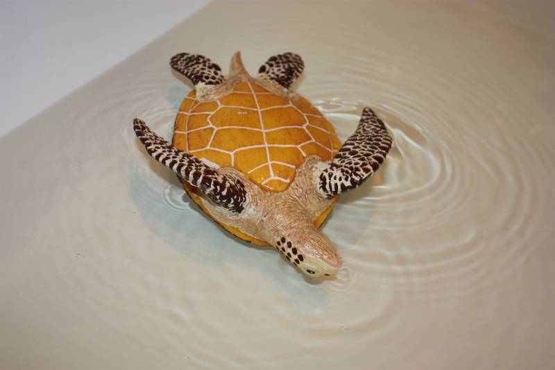 Иллюстрация 8 из 9 для Морская черепаха (260429) | Лабиринт - игрушки. Источник: Лисенка