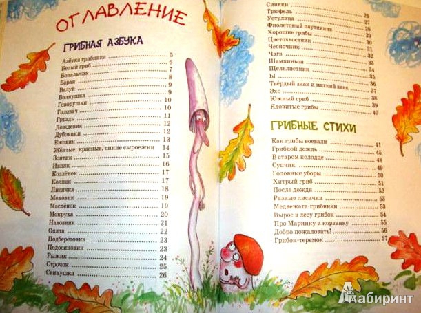 Иллюстрация 17 из 54 для Большая грибная книга - Андрей Усачев | Лабиринт - книги. Источник: ОксанаШ