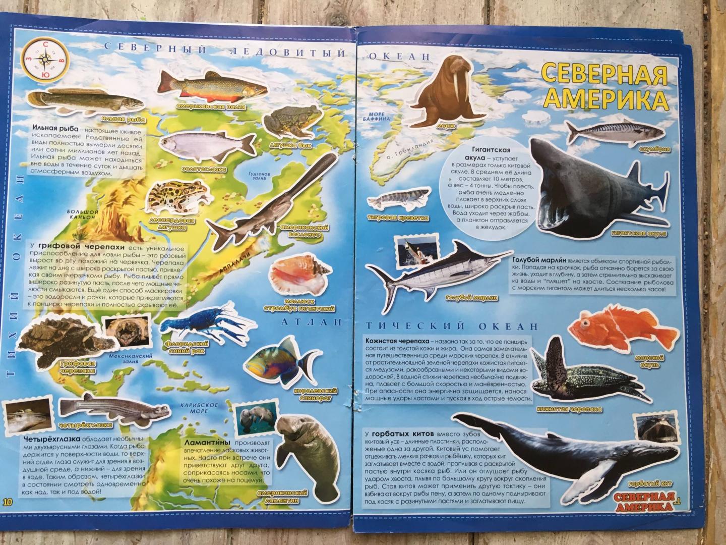 Иллюстрация 19 из 22 для Обитатели рек, морей и океанов. Атлас мира с наклейками | Лабиринт - книги. Источник: Лабиринт