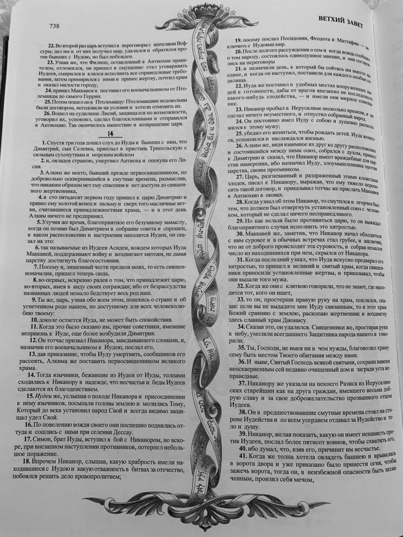Иллюстрация 60 из 88 для Библия. Книги Священного Писания Ветхого и Нового Заветов | Лабиринт - книги. Источник: Розочка