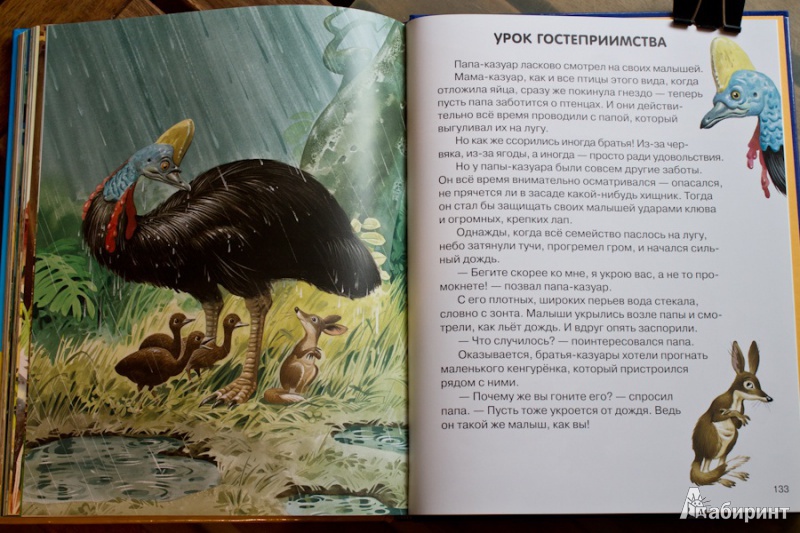 Иллюстрация 15 из 36 для Веселые истории о животных - Пьеранджела Фьорани | Лабиринт - книги. Источник: nata_