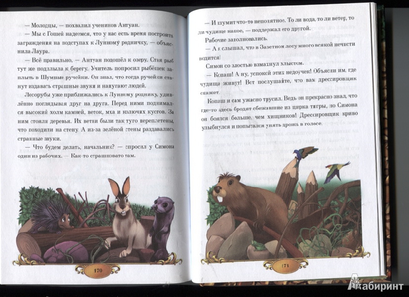 Иллюстрация 3 из 32 для Тайна заколдованного леса - Елена Хрусталева | Лабиринт - книги. Источник: Марфа Посадница