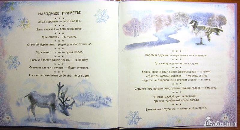 Иллюстрация 30 из 40 для Снежная звёздочка | Лабиринт - книги. Источник: Velena