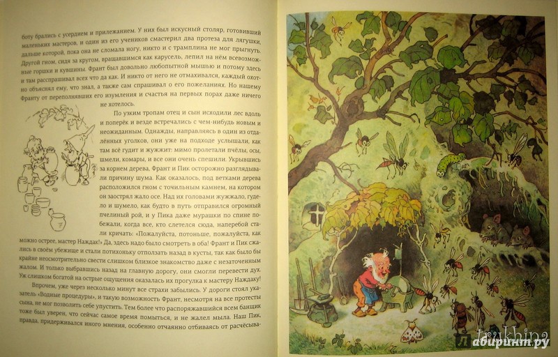 Иллюстрация 46 из 78 для В стране гномов - Эрих Хайнеманн | Лабиринт - книги. Источник: Трухина Ирина