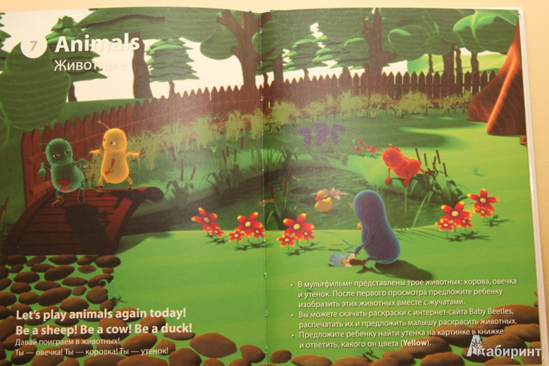 Иллюстрация 15 из 16 для Baby Beetles. Комплект из 4-х книг (+4DVD, +4CD) - Клэр Селби | Лабиринт - книги. Источник: Мельникова  Марина Александровна