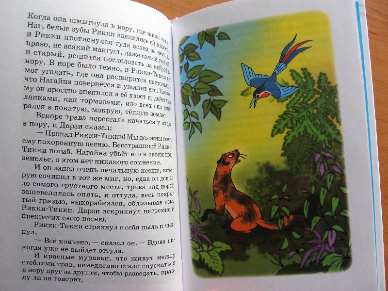 Иллюстрация 12 из 14 для "Рикки-Тикки-Тави" и другие сказки - Редьярд Киплинг | Лабиринт - книги. Источник: Red cat ;)
