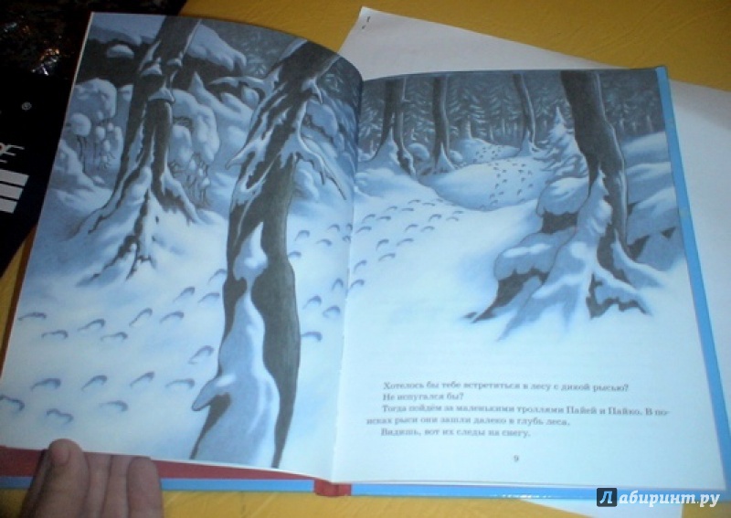 Иллюстрация 5 из 20 для Следы на снегу - Сиссель Бёэ | Лабиринт - книги. Источник: prema81