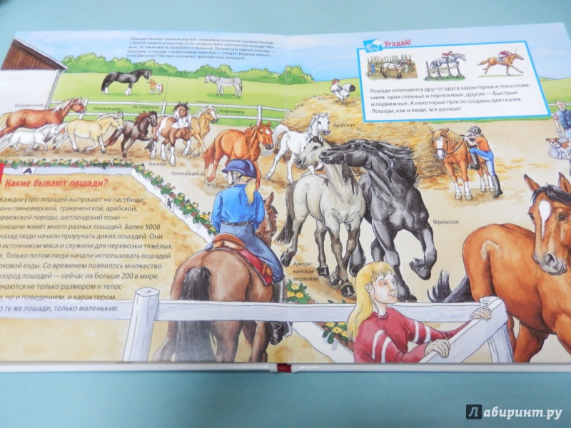 Иллюстрация 6 из 34 для Лошади и пони - Татьяна Марти | Лабиринт - книги. Источник: dbyyb