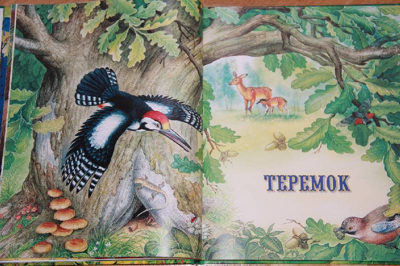 Иллюстрация 27 из 35 для Сказки о животных - Виталий Бианки | Лабиринт - книги. Источник: Vilvarin  Laurea