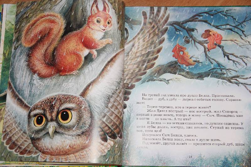 Иллюстрация 30 из 35 для Сказки о животных - Виталий Бианки | Лабиринт - книги. Источник: Vilvarin  Laurea