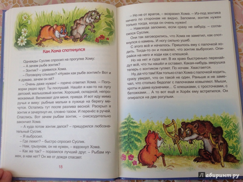Иллюстрация 5 из 22 для Солнечный зайчик Хомы и Суслика - Альберт Иванов | Лабиринт - книги. Источник: ХК