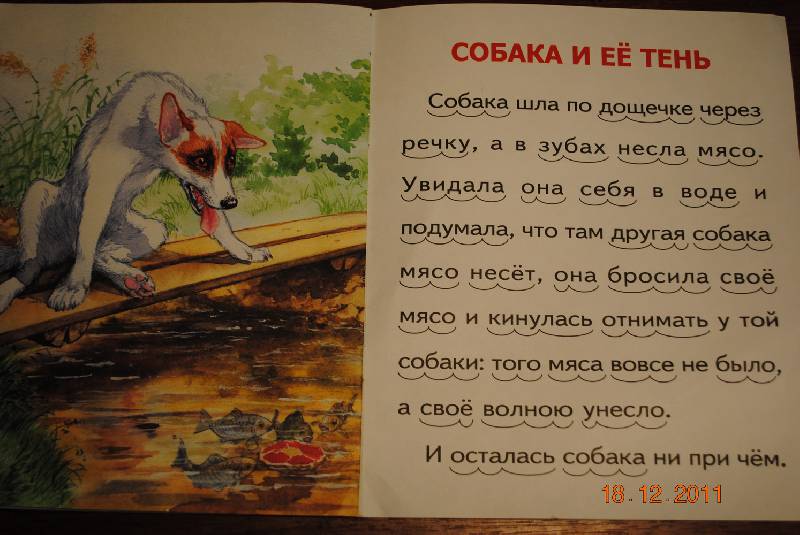 Иллюстрация 8 из 8 для Лев и мышь - Лев Толстой | Лабиринт - книги. Источник: alenka1983