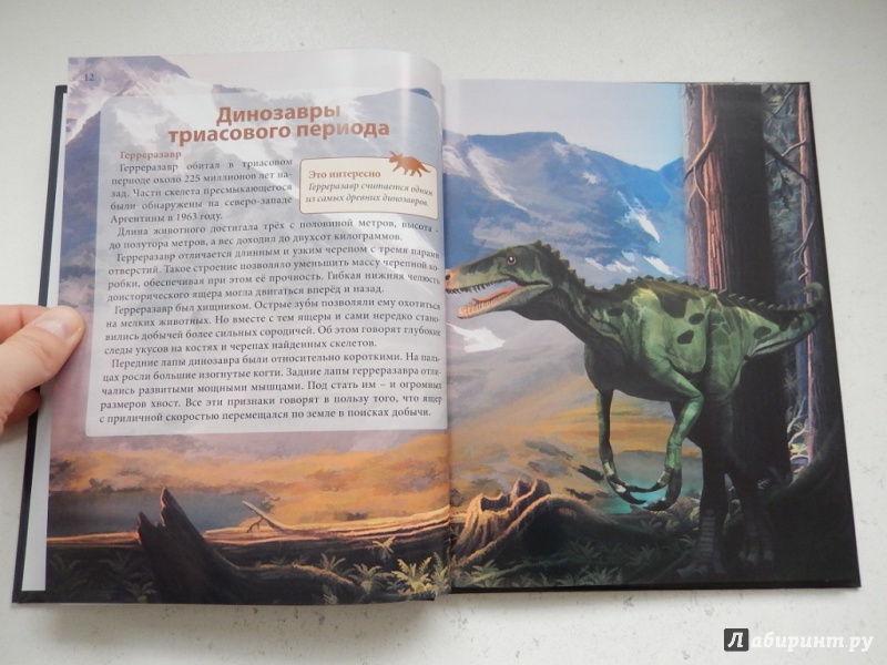 Иллюстрация 8 из 36 для Динозавры - Ирина Астапенко | Лабиринт - книги. Источник: dbyyb