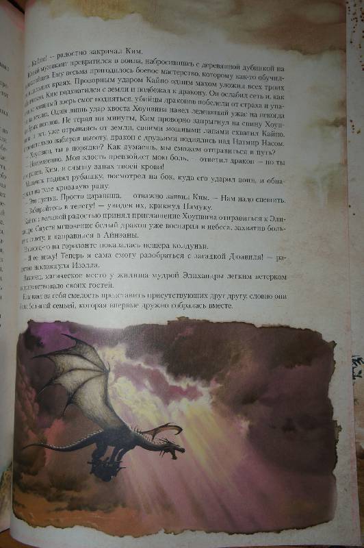 Иллюстрация 49 из 52 для Феи и драконы - Кабрал Сируелло | Лабиринт - книги. Источник: Шишкина  Татьяна Андреевна