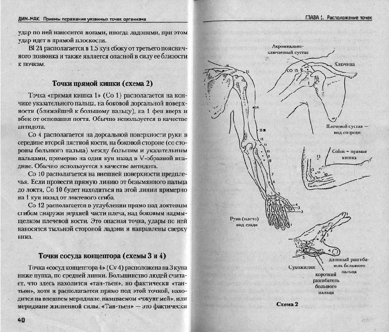 Иллюстрация 11 из 12 для Дим-мак: Приемы поражения уязвимых точек организма. Книга 1 - Эрл Монтегю | Лабиринт - книги. Источник: Рыженький