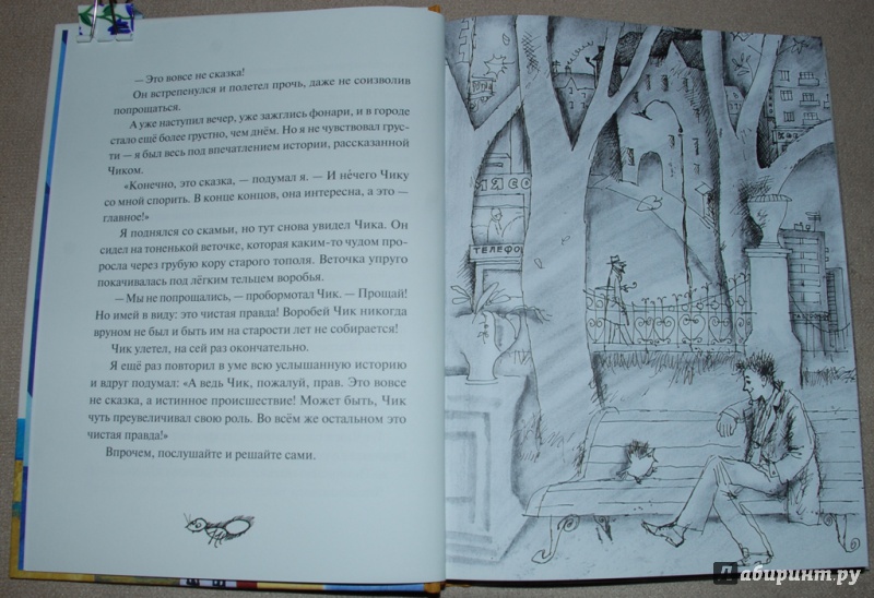 Иллюстрация 23 из 27 для Девочка и белочка - Павел Катаев | Лабиринт - книги. Источник: Книжный кот